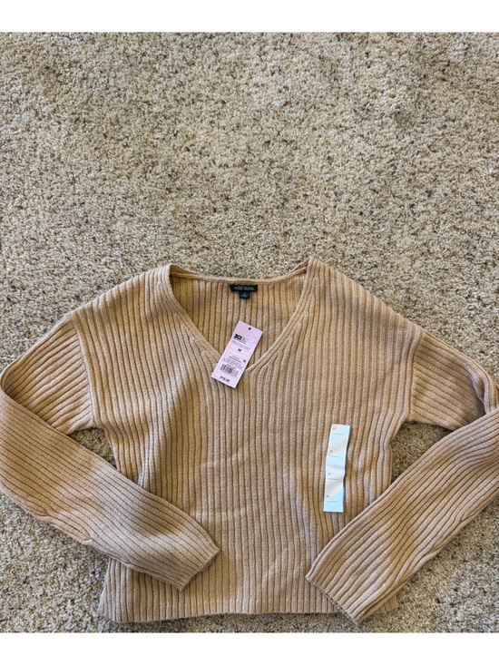 wild fable Tops - wild fable Ribbed V-Neck Long Sleeve Sweater in Beige